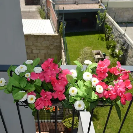 Camoes By Trindade Sweet ポルト